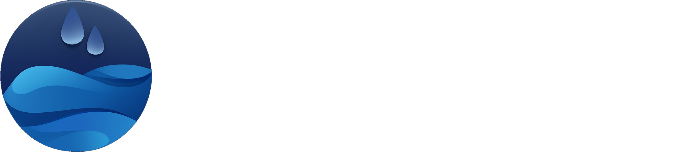 Tallahassee IT Agency